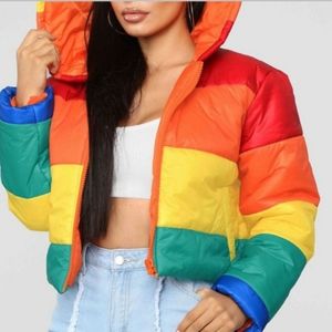 Multi colored puffer